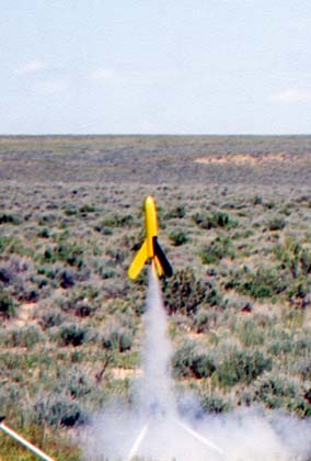 Mosquito