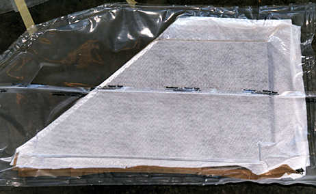 Iris Fins
