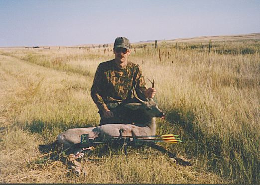 Mule Deer